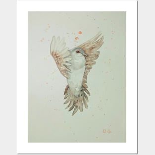 Dove in flight, bird art design, white dove, peace dove Posters and Art